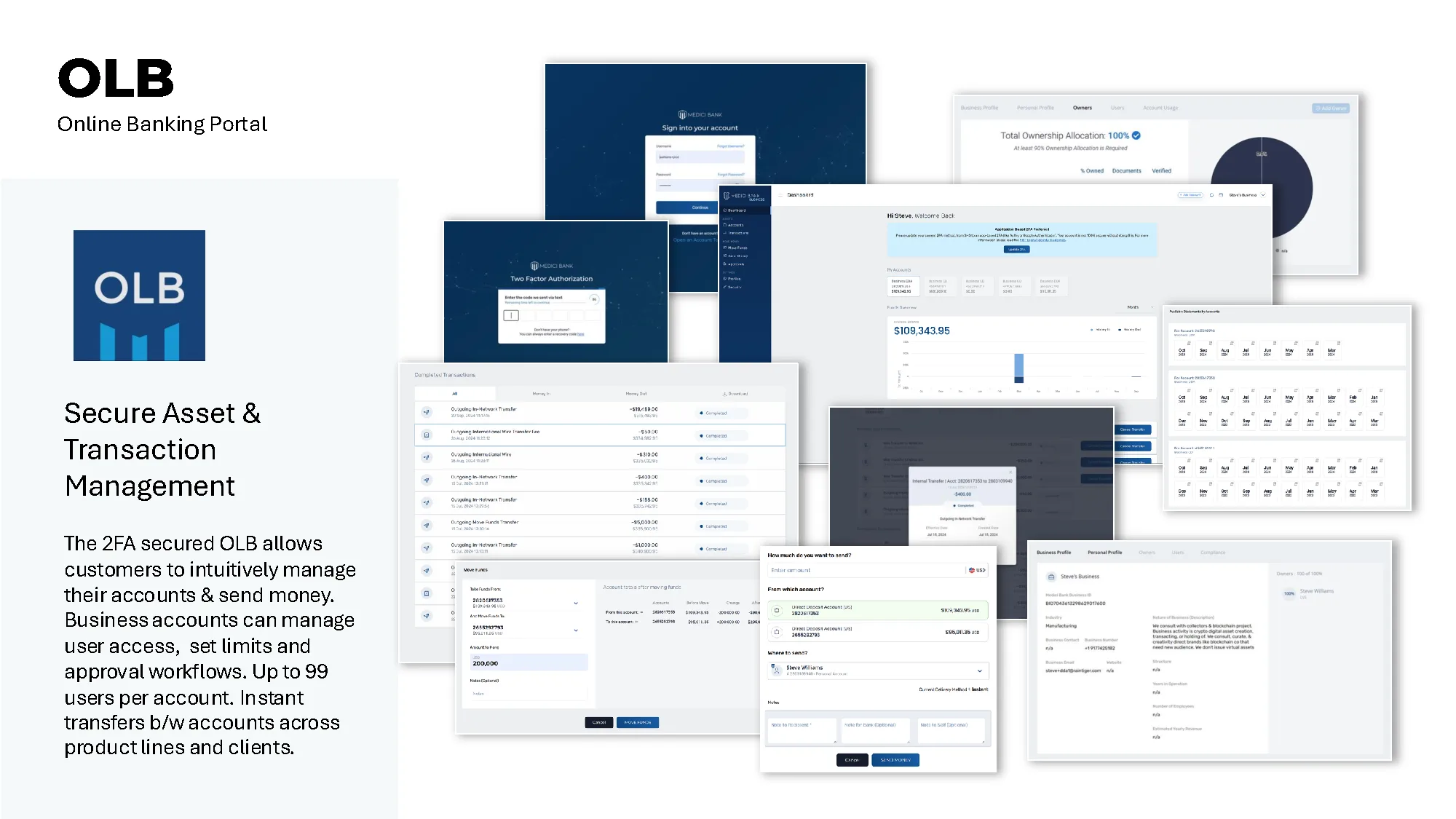 OLB Online Banking Portal interface screenshots
